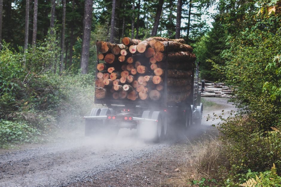 Šakių rajone per susidūrimą su miškavežiu nukentėjo lengvojo automobilio vairuotojas