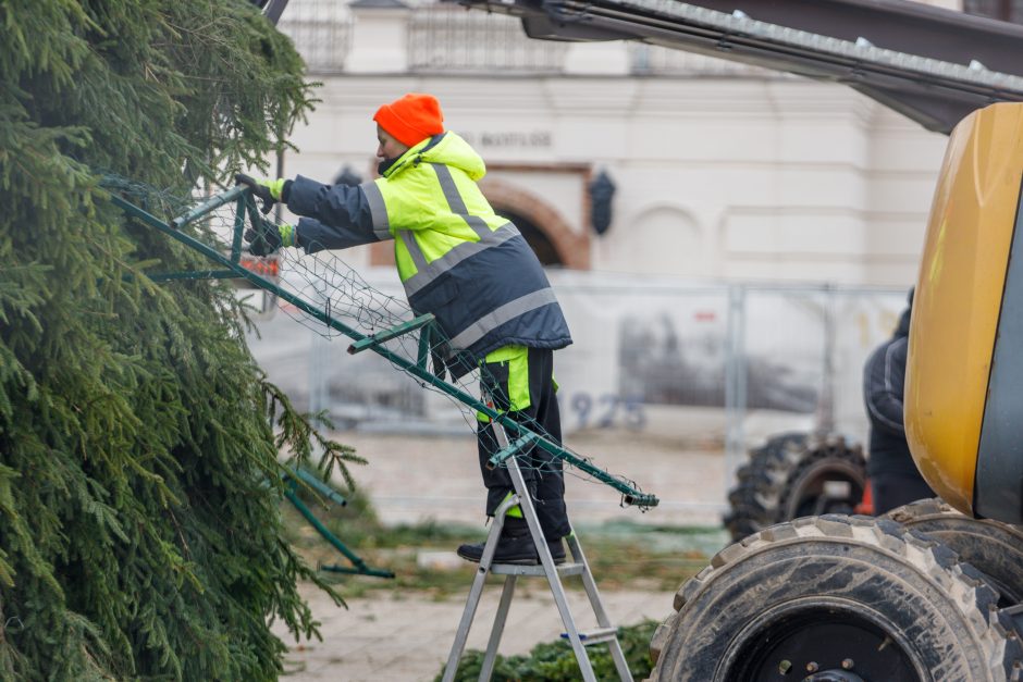 Prasidėjo pasirengimas Kalėdoms: per anksti ar pačiu laiku?