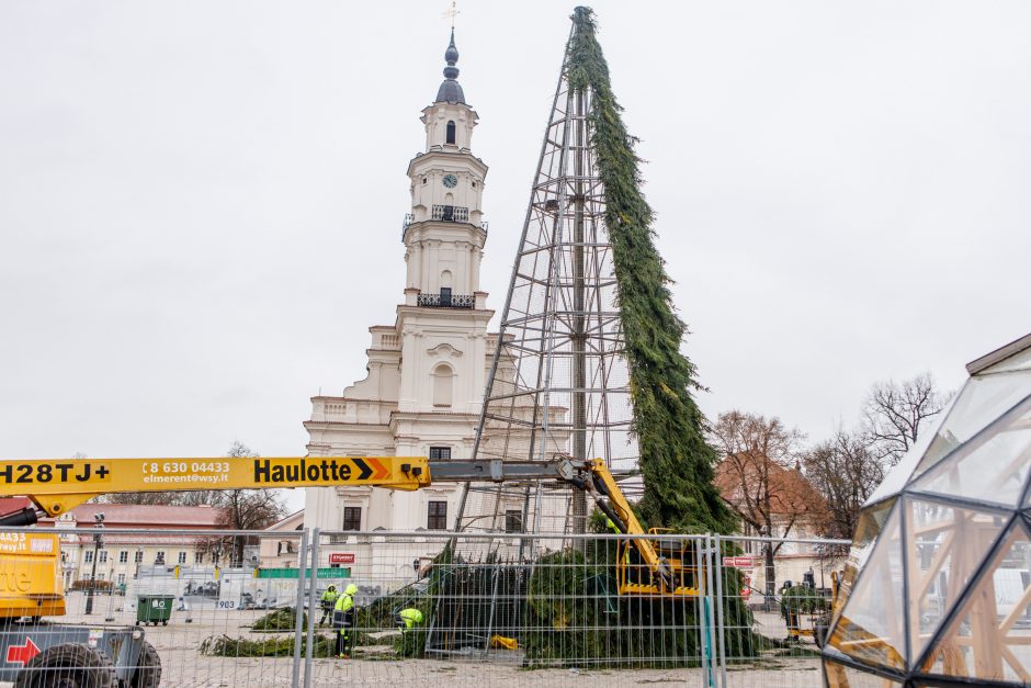 Prasidėjo pasirengimas Kalėdoms: per anksti ar pačiu laiku?