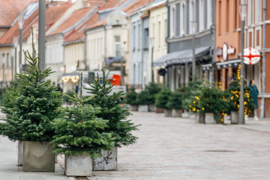 Prasidėjo pasirengimas Kalėdoms: per anksti ar pačiu laiku?