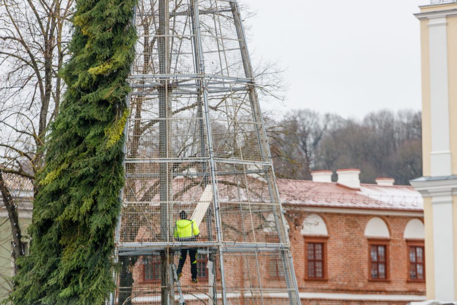 Prasidėjo pasirengimas Kalėdoms: per anksti ar pačiu laiku?