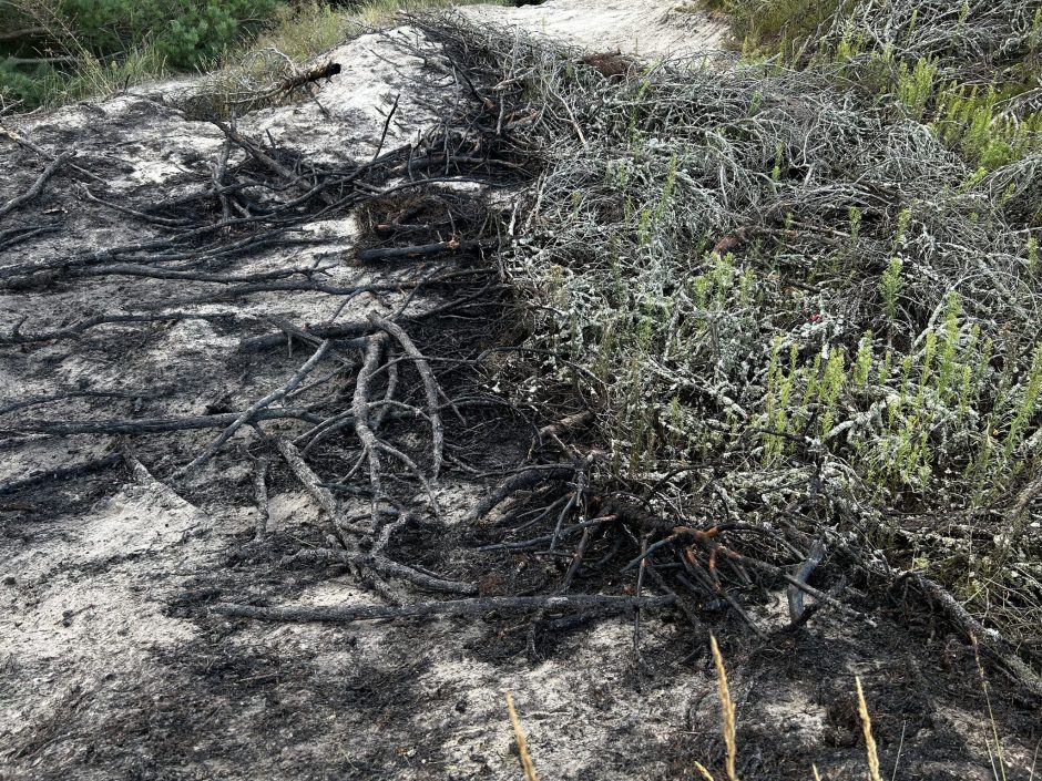 Smiltynėje kilus gaisrui, specialistai primena – Kuršių nerijoje su ugnimi reikia elgtis atsargiai