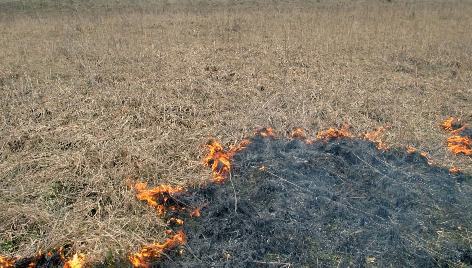 Prienų rajone išdegė 4 hektarai javų lauko