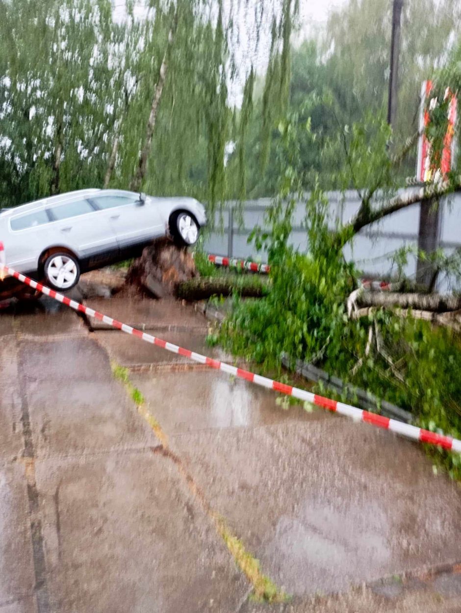 Audra siautėjo: Petrašiūnuose nuvirtęs medis pakėlė automobilį