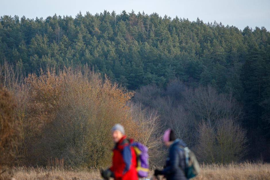 Iš Palangos į Šventąją vyks žygis ir akcija „Riedam“