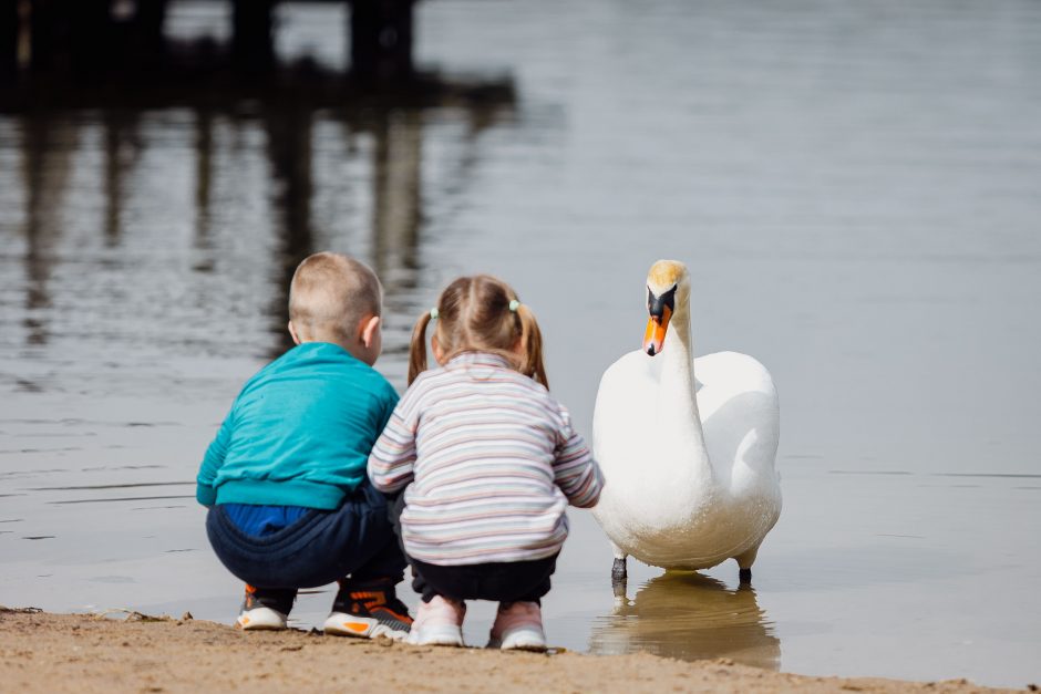 Naujų mokslo metų laukia su nerimu: iššūkis – kitokie vaikai