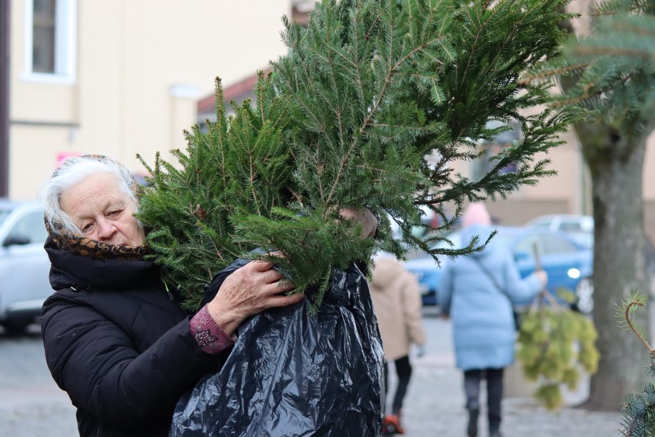 Eglišakių dalybos: išgraibstė akimirksniu