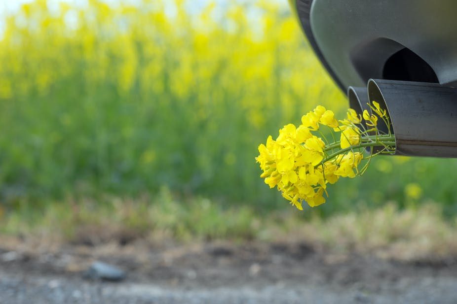 Lietuva – priešpaskutinė: pralenkėme tik graikus