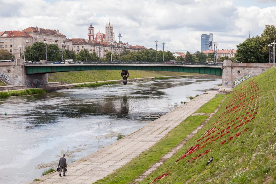 Pranešė apie į Nerį nukritusį lėktuvą: pamelavęs vilnietis išvežtas į ligoninę