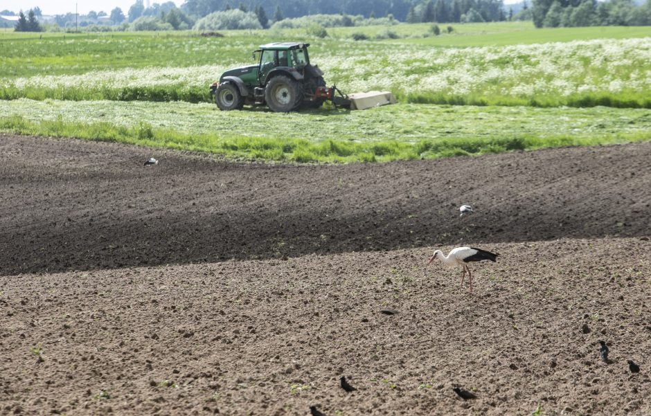 Metų infliacija Baltarusijoje gegužę spartėjo iki 5,7 proc.