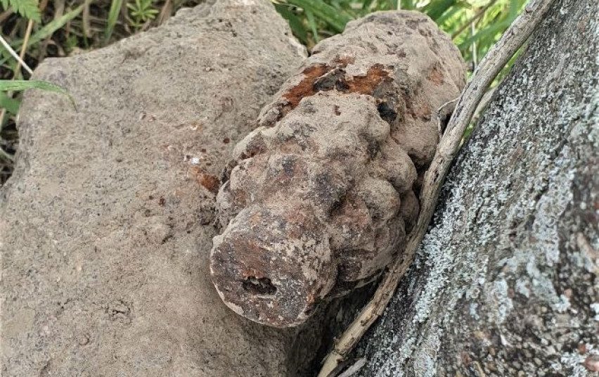 Surūdiję karo laikų sprogmenys vis dar tyko savo aukų