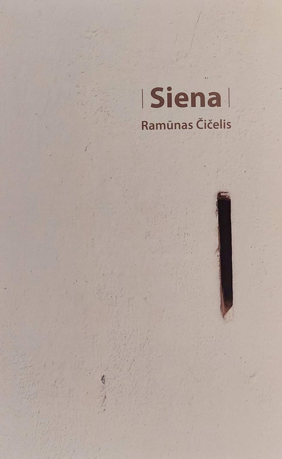 Su R. Čičeliu – apie poeziją ir dvasingumą