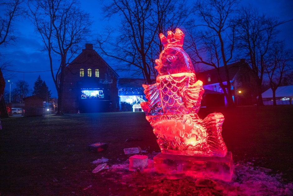 Raudondvario dvare įžiebta įspūdinga Kauno rajono žaliaskarė!