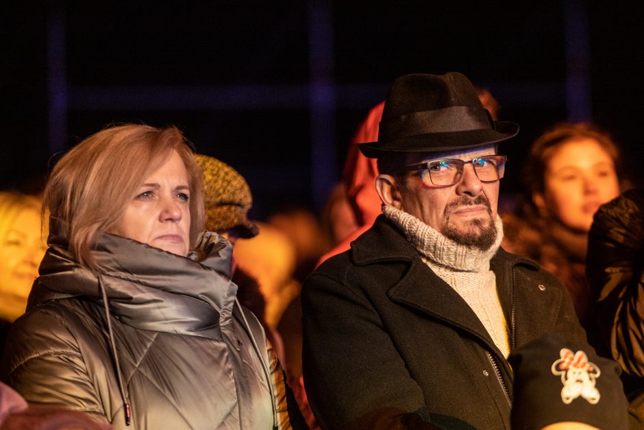 Raudondvario dvare įžiebta įspūdinga Kauno rajono žaliaskarė!