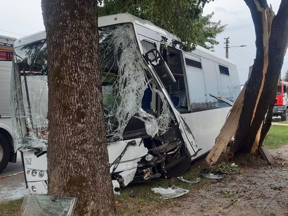 Prienuose į medį rėžėsi autobusas: dėl avarijos kaltas vabzdys? 