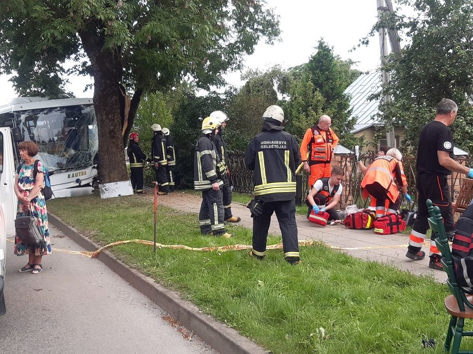 Prienuose į medį rėžėsi autobusas: dėl avarijos kaltas vabzdys? 