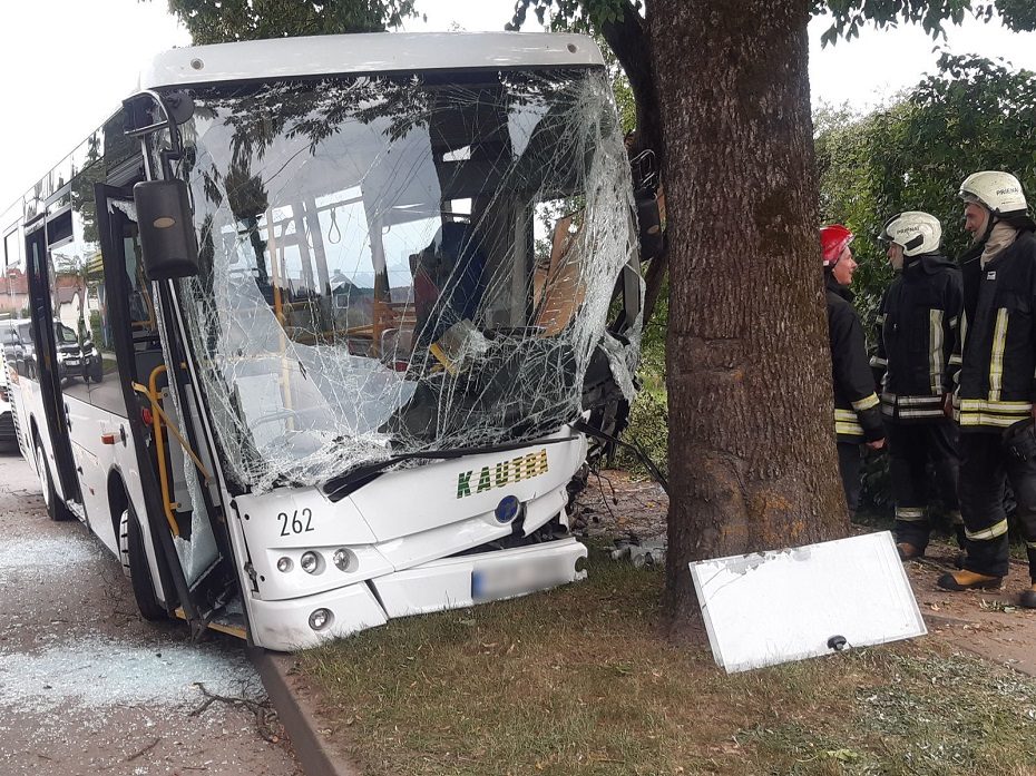 Prienuose į medį rėžėsi autobusas: dėl avarijos kaltas vabzdys? 