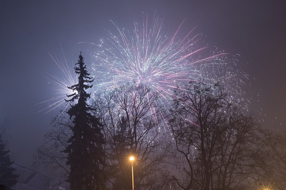 Dėl fejerverkų prekybos ir naudojimo ribojimų Seime liko paskutinis balsavimas