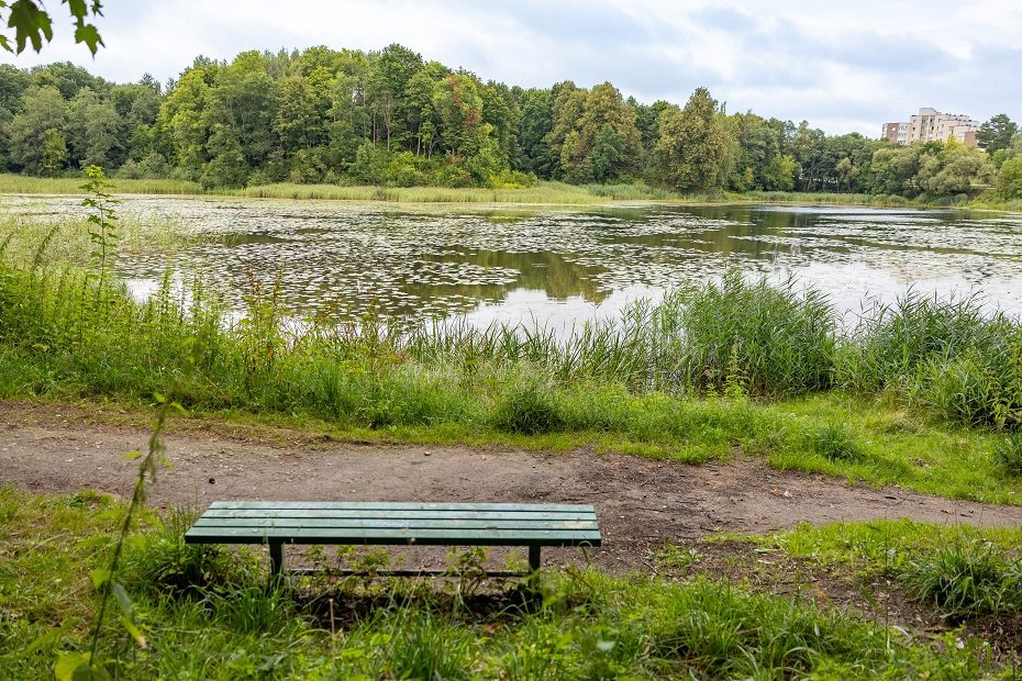 Vilniuje bus tvarkomas Jeruzalės tvenkinio parkas, darbų kaina – įspūdinga