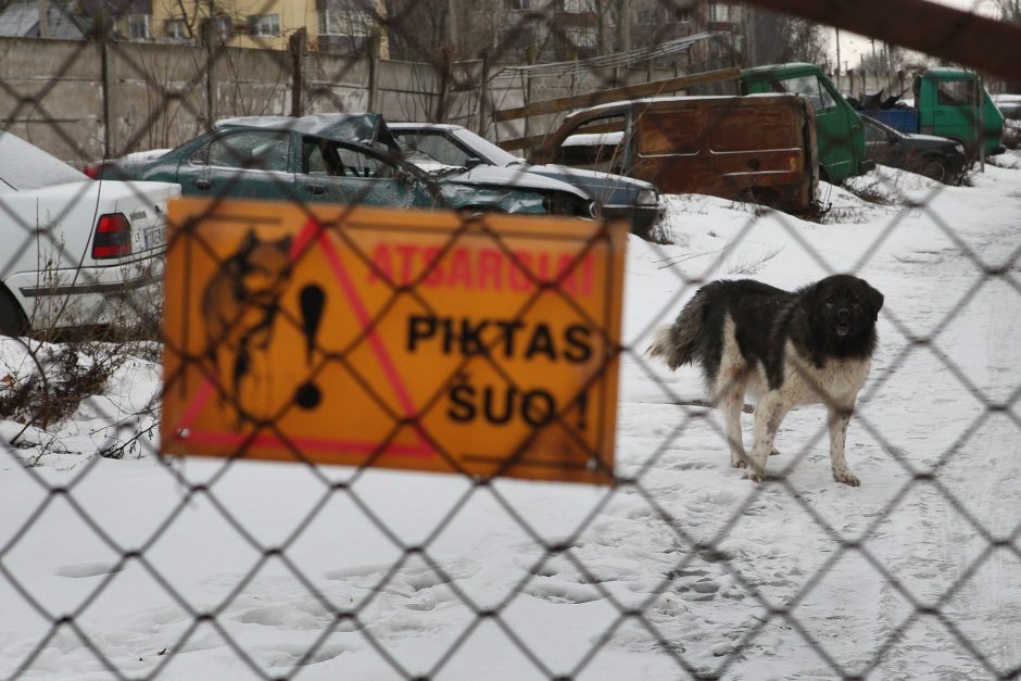 Mokesčių inspekcija Ukrainai perdavė 80 valstybės konfiskuotų transporto priemonių