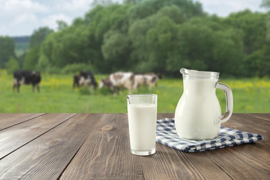 Lietuvoje liepą sumažėjo pieno supirkimo kaina