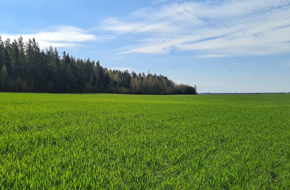 Įsibėgėja pasėlių ir naudmenų deklaravimas – žemdirbiai raginami jo neatidėlioti