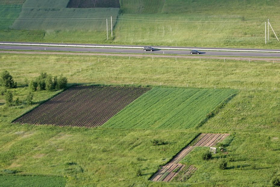 K. Navickas: realu išspręsti daugiamečių pievų atūkurimo problemą iki pasėlių deklaravimo