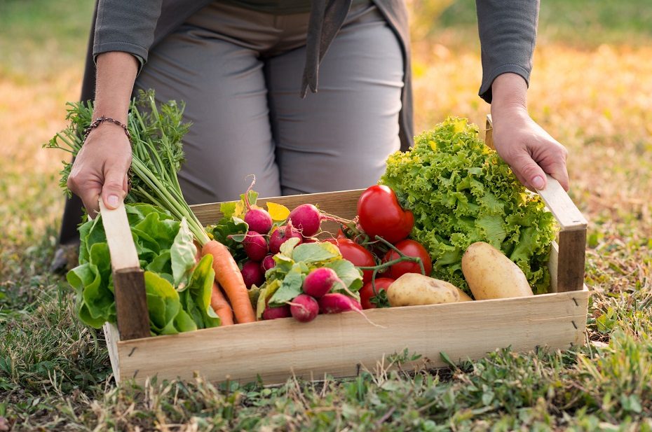 Jūsų daržovių sodas: paprasti žingsniai į sėkmę