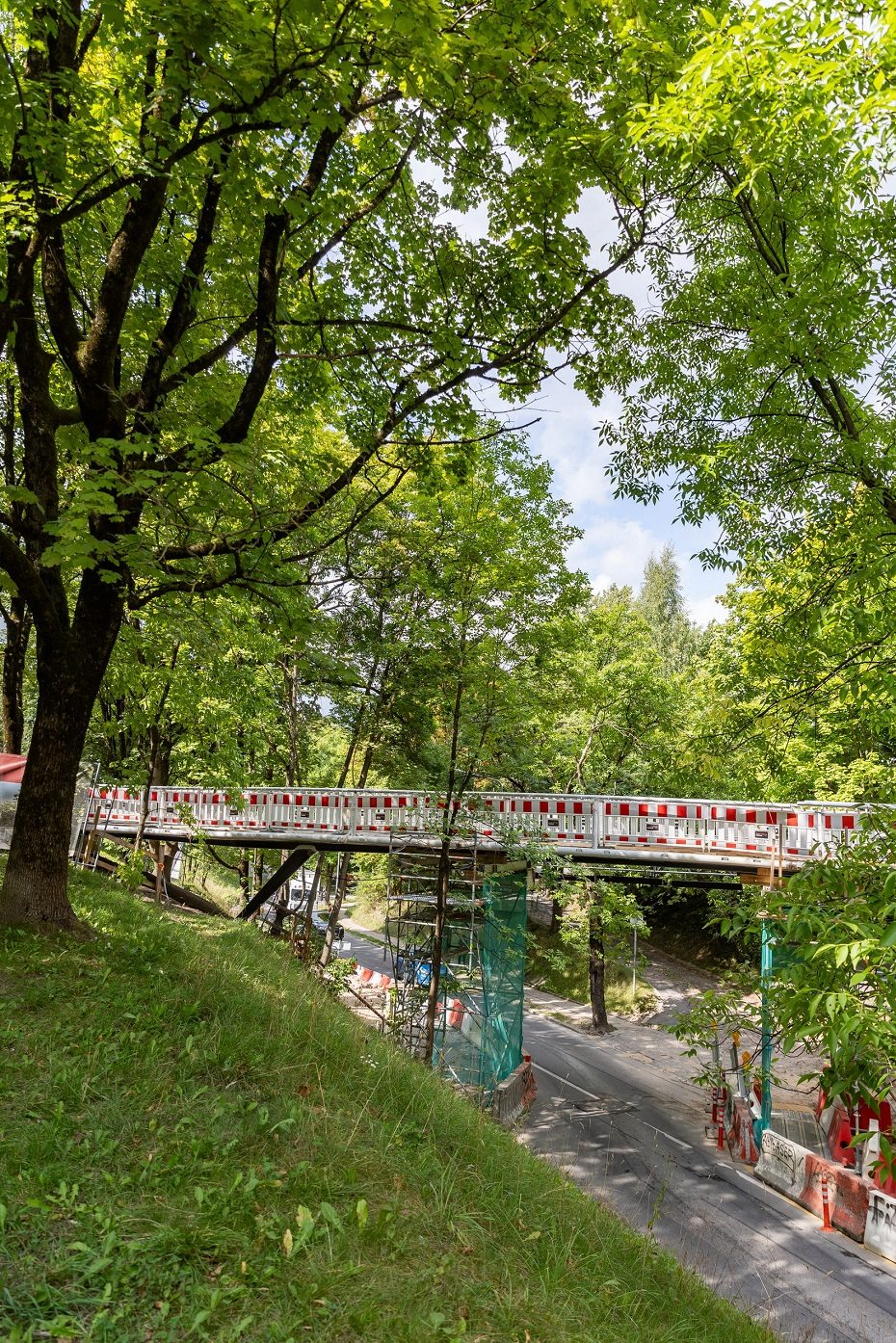 Pokyčiai Tauro kalno teritorijoje: genimi medžiai, planuojami nauji želdiniai