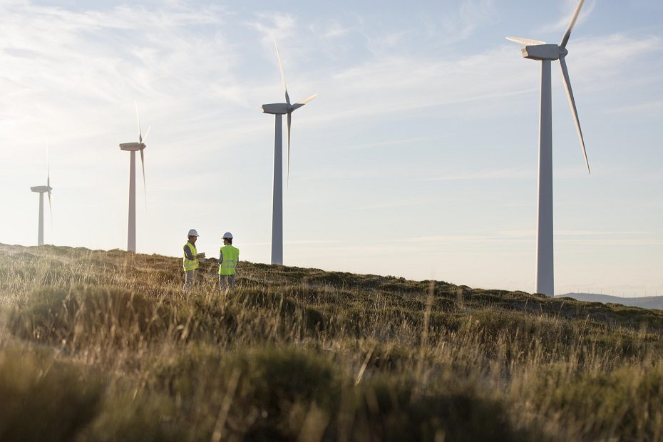Už teisę vystyti vėjo parką Baltijos jūroje valstybei pasiūlyta 20 mln. eurų