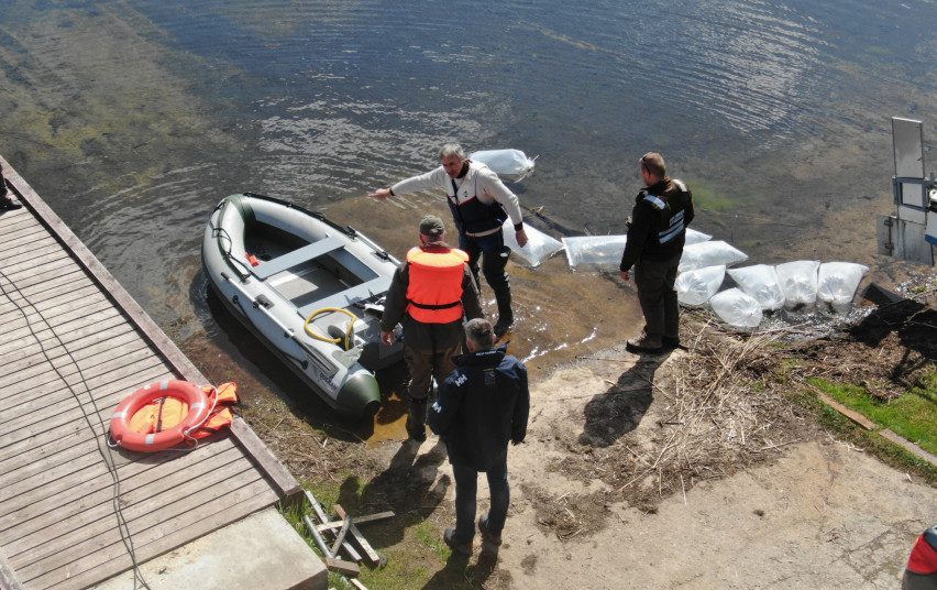 Trys ežerai Plungės rajone įžuvinti daugiau nei 203 tūkst. lydekų