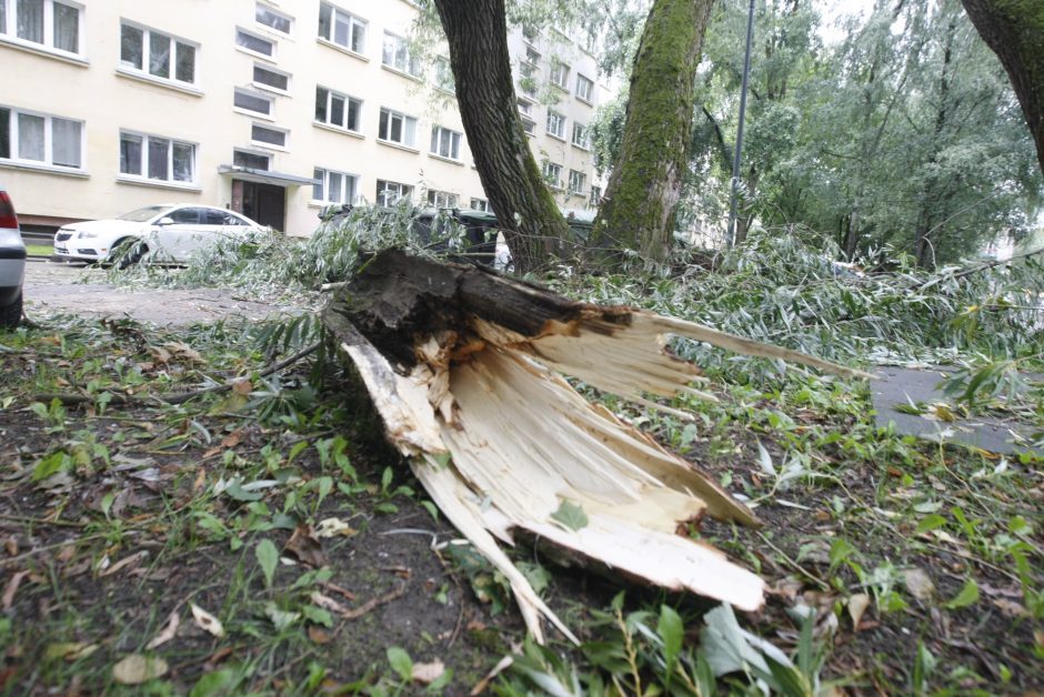 Dėl smarkaus vėjo ugniagesiai keliasdešimt kartų vyko šalinti nuvirtusių medžių