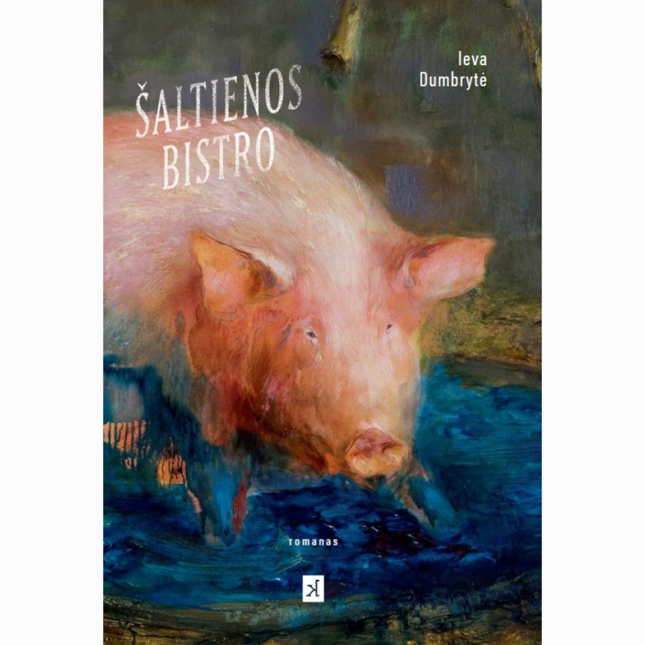 Šiandienos lietuvių literatūra. Ką skaityti siūlo ekspertai?