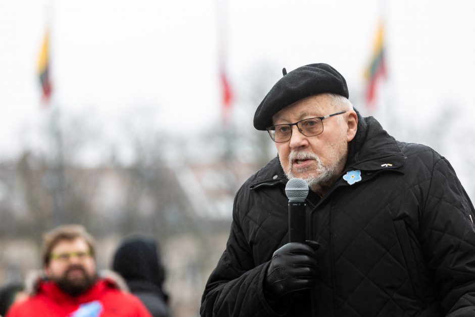 V. Landsbergis – dar apie protestuotojus: gaila tų žmonių, kas juos taip klaidina