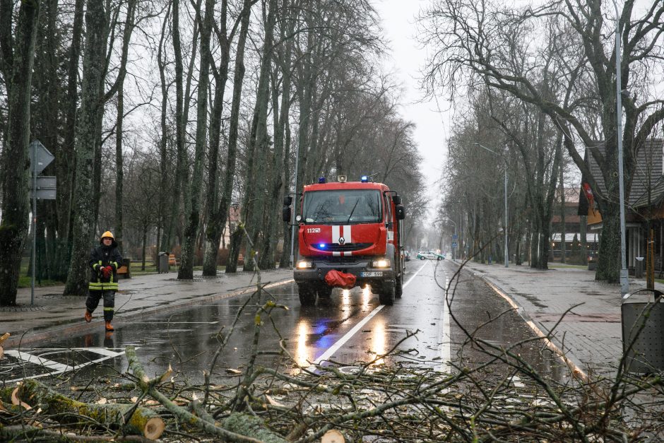 Ugniagesiai toliau šalina vėjo padarinius: medžiai virto ant kelio, automobilių, elektros laidų