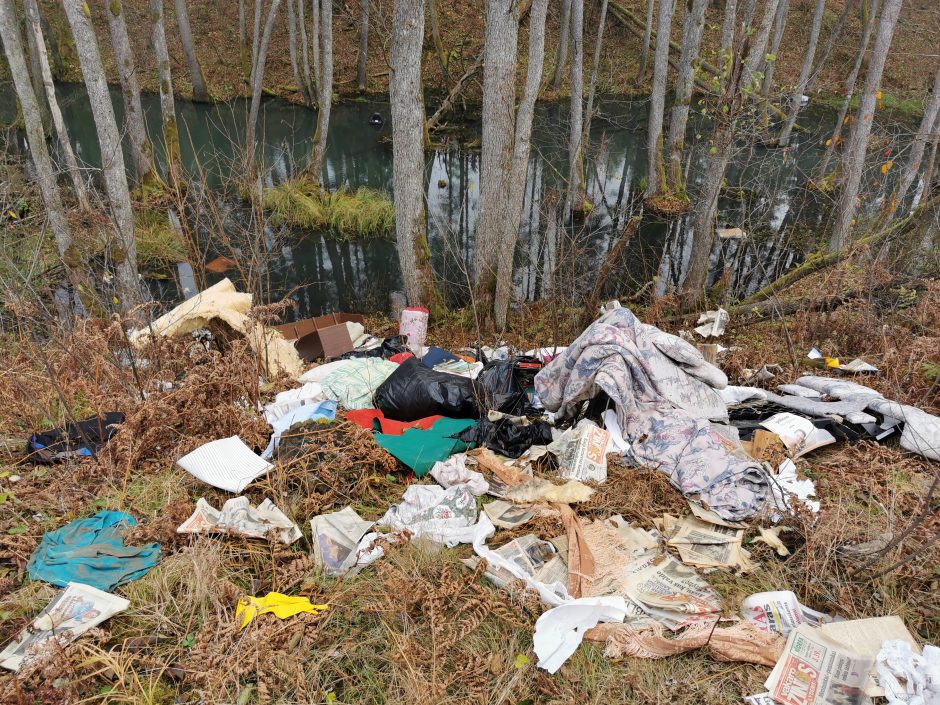 Miško teršėjas apsižioplino: tarp šiukšlių paliko dokumentus su asmens duomenimis