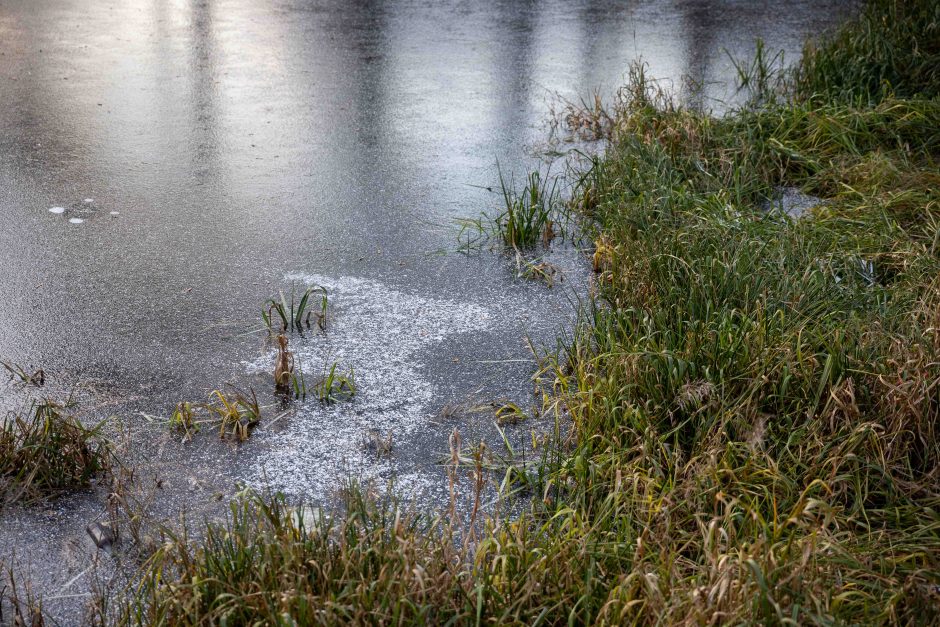 Į tvenkinį Telšių rajone nuriedėjo moters vairuojamas automobilis