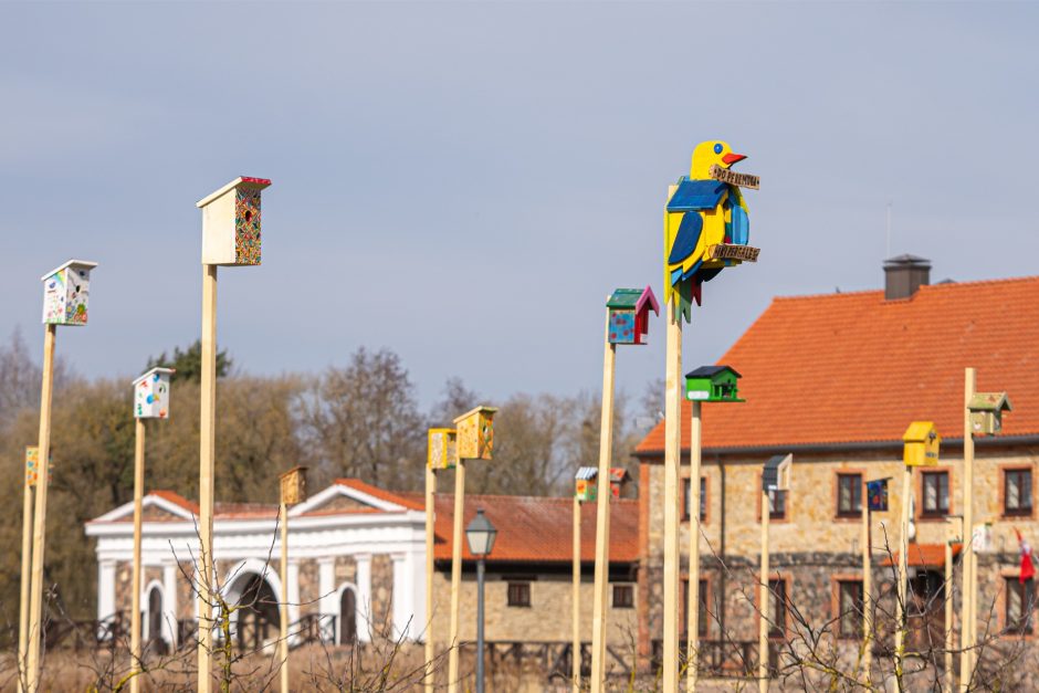 Šimtai spalvingų inkilų ir pražydę narcizai: Velykas  Pakruojo dvaras pasitinka pavasariškai