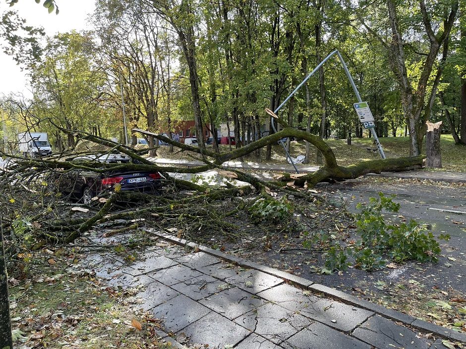 ESO: elektros neturi 36 tūkst. vartotojų, daugiausia Vilniaus regione