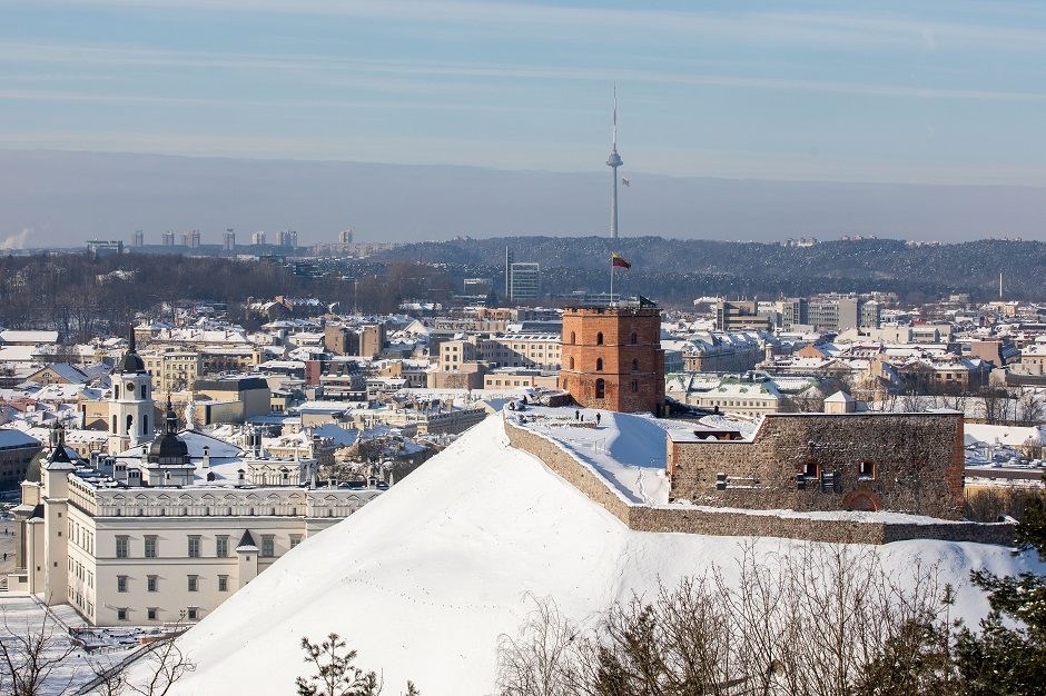 Skelbiamas Valdovų rūmų generalinio direktoriaus konkursas