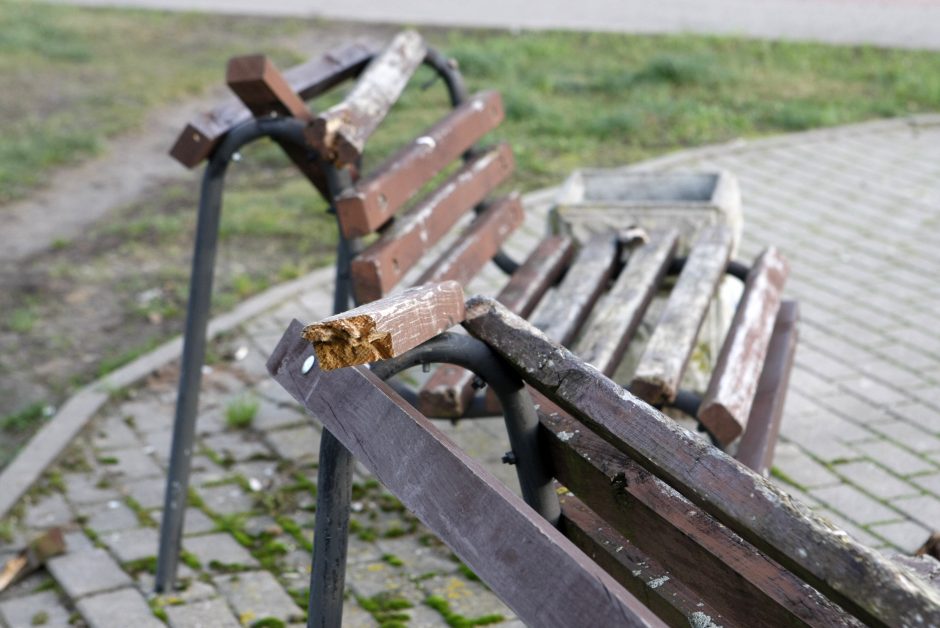 Chuliganai nusiaubė Sąjūdžio parką: gyventojai prašo kamerų