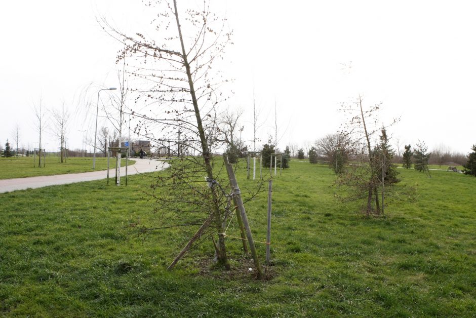 Chuliganai nusiaubė Sąjūdžio parką: gyventojai prašo kamerų