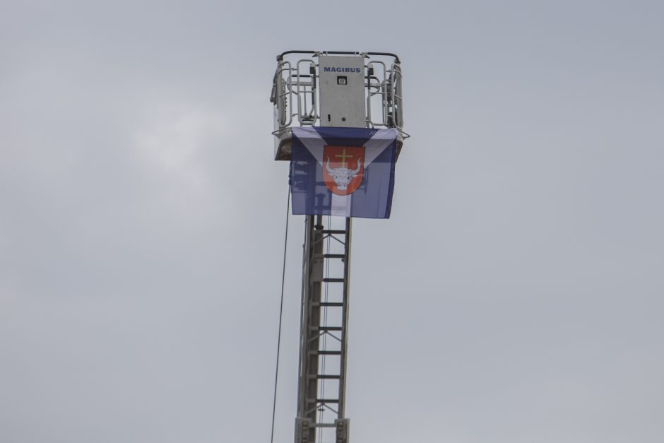 Šaulių pratybos Kauno rajone