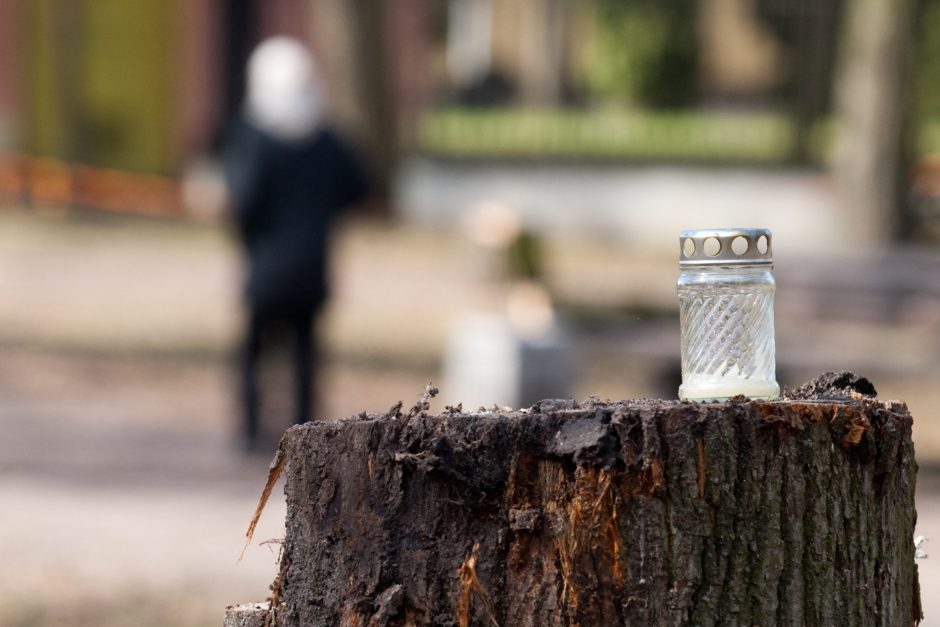 Nuo neteisėto želdinių naikinimo nori atgrasyti didesnėmis baudomis