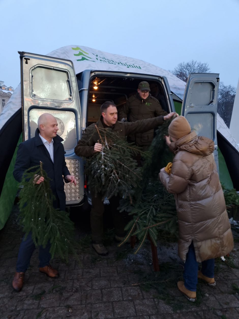 Miškininkų dovanos gyventojams – išdalino tūkstančius eglių šakų