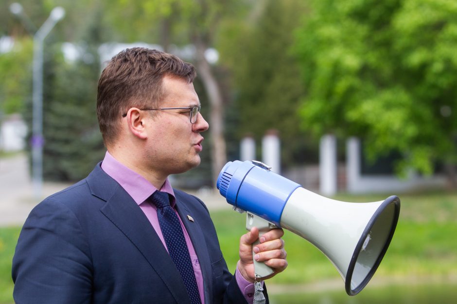 Dėl rinkimų kartelės mažinimo – kreipimasis ir į tarptautines institucijas