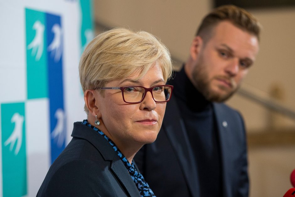 P. Saudargas: nemačiau, kad I. Šimonytė rodytų ambicijas tapti konservatorių pirmininke