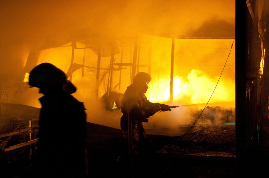 Vilkaviškio rajone per gaisrą žuvo žmogus