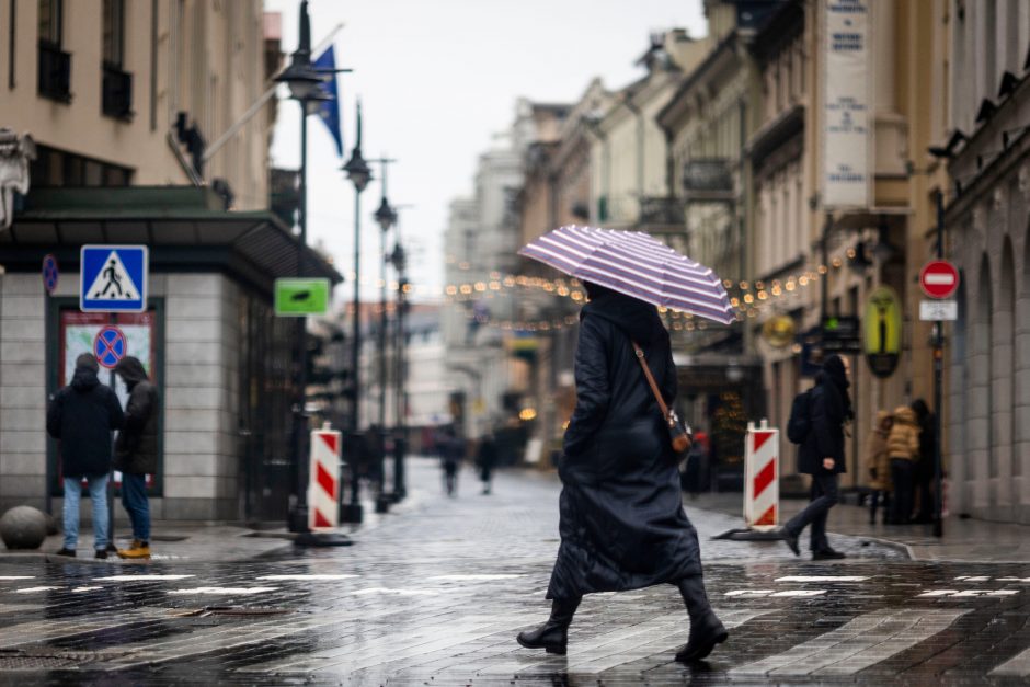 Sausio 1-ąją laukiama šilumos rekordo: turėtų būti labai pavasariška diena