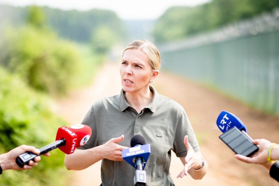 A. Bilotaitė apie atnaujintą sienos priedangos planą: laukiame KAM pritarimo